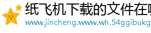 纸飞机下载的文件在哪里